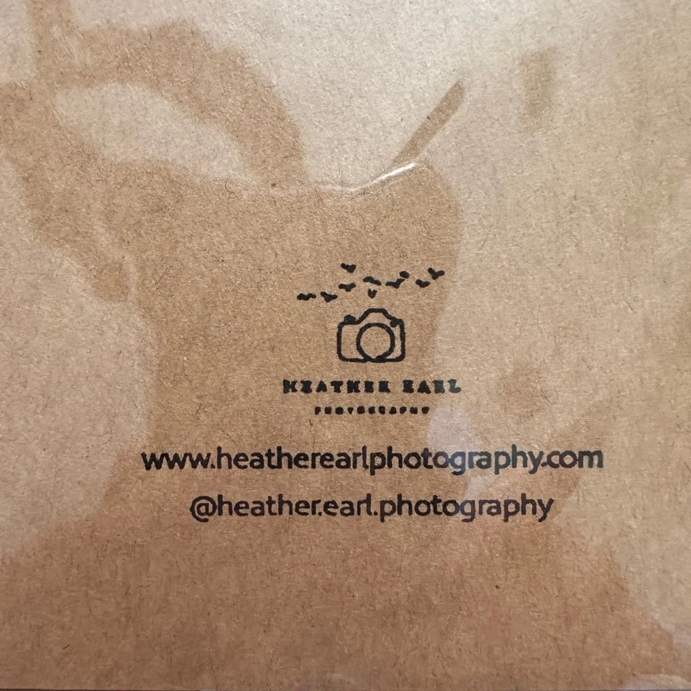 Set of 6 - Handcrafted Photo Greeting Card - Male Northern Cardinal